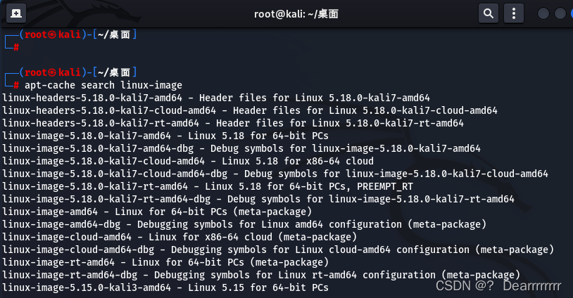 Kali系统配置指南：root登录、内核更新与中文环境设置-CSDN博客