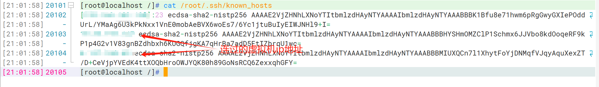 image-20240109210308131