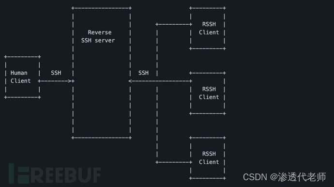 Reverse_SSH：一款基于SSH的反向Shell工具_反向ssh-CSDN博客