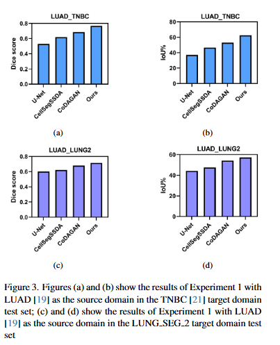 image-20240524190920479