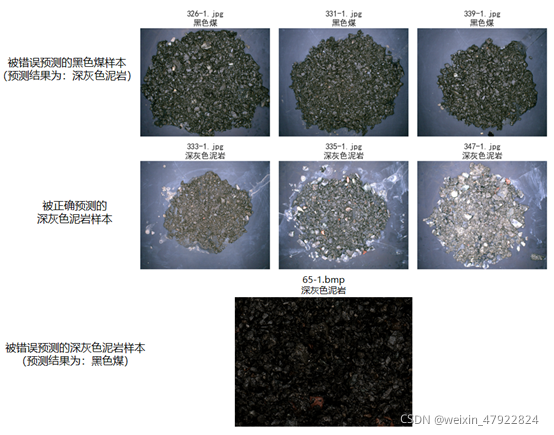 图 6‑2 预测数据整体示例