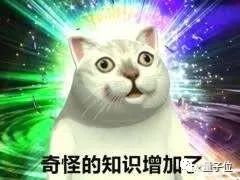 ea8eb880a785cd3dbbbcab368e87c70f.png