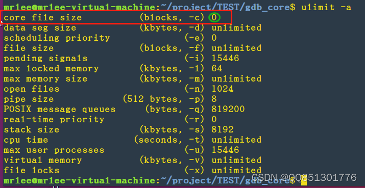 Linux GDB调试一(core文件)_linux gdb core-CSDN博客