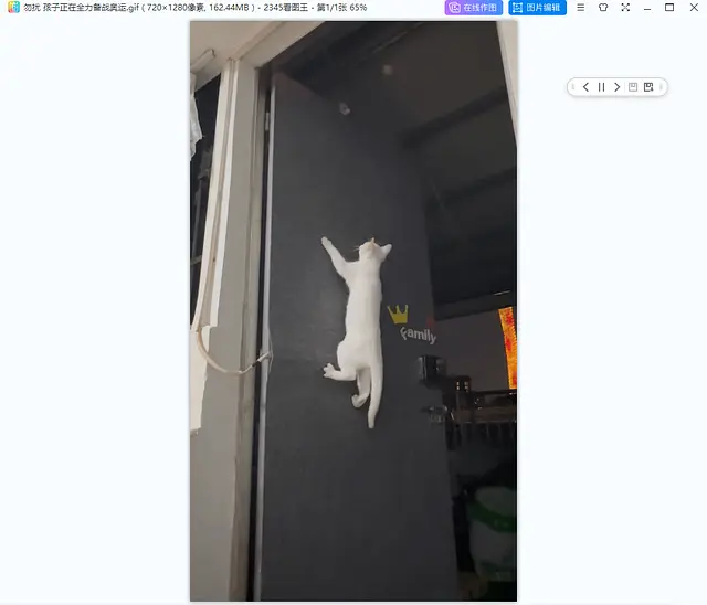 快速转换,一键将视频变作炫酷动图!-CSDN博客