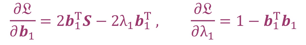 拉格朗日公式求偏导数