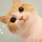 image-20210715154153288