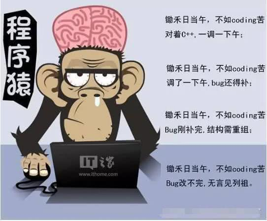 程序员与代码之间的搞笑日常，笑的人肚子痛