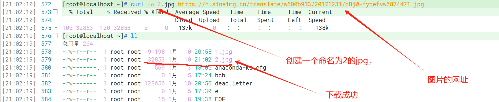 image-20240110211811948
