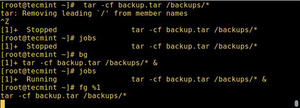 关于Linux进程你所需要知道的一切