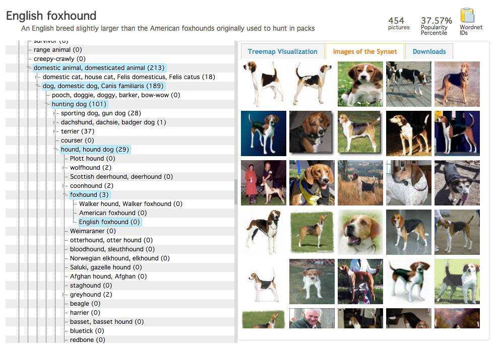 ImageNet