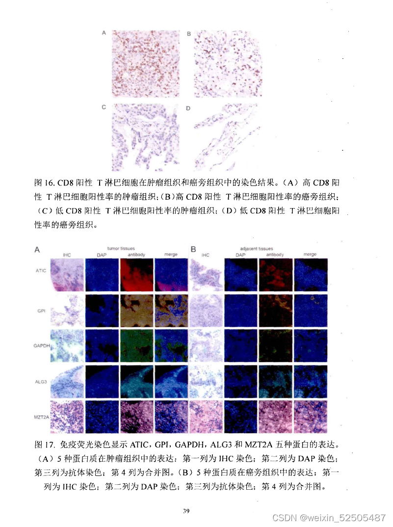 多重荧光免疫组化（mIHC）实验原理-CSDN博客