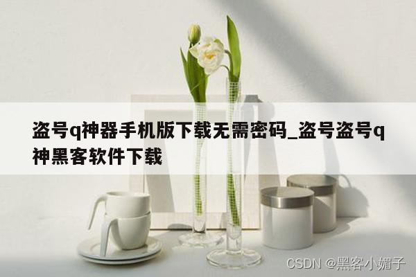 手机qq盗号软件下载_qq号盗软件下载手机版_盗号qq应用下载