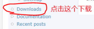 点的是第一个下载