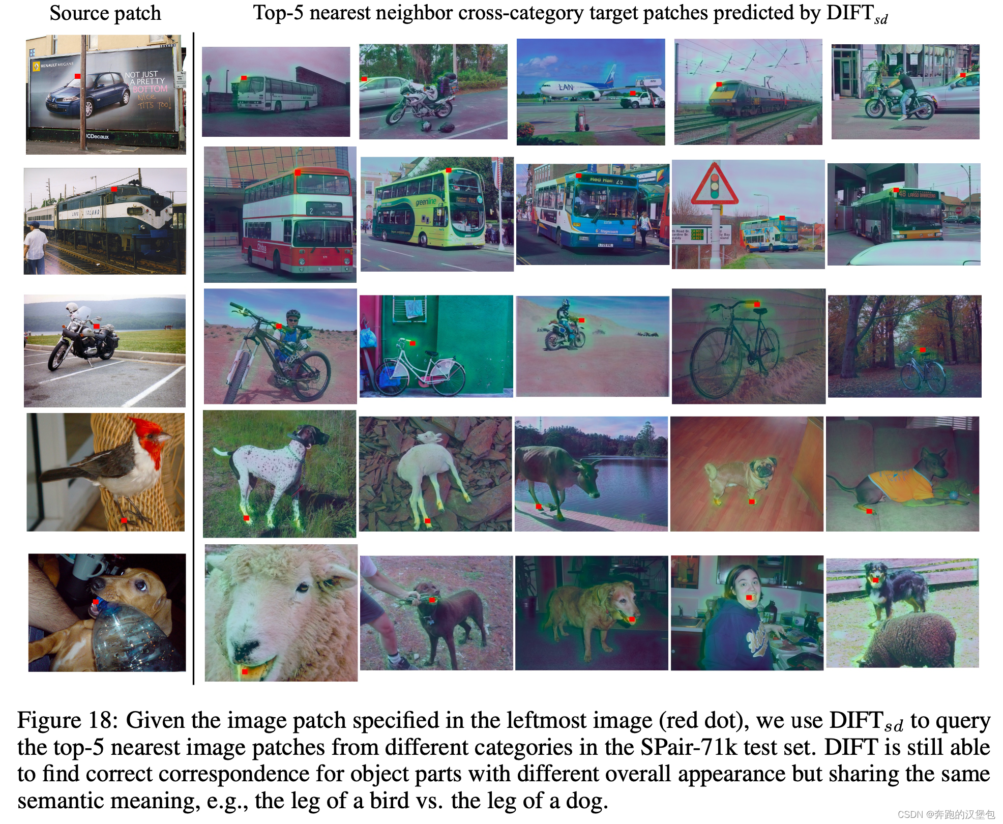 DIFT：Emergent Correspondence from Image Diffusion # 论文阅读-CSDN博客