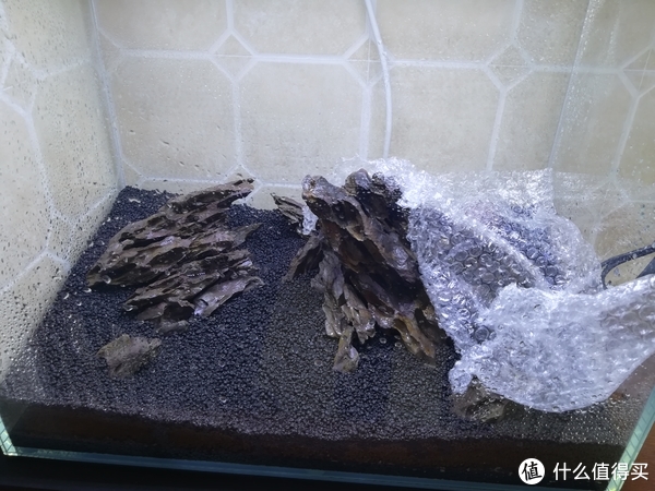 开缸种草篇