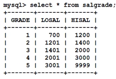 image-20220207171224294