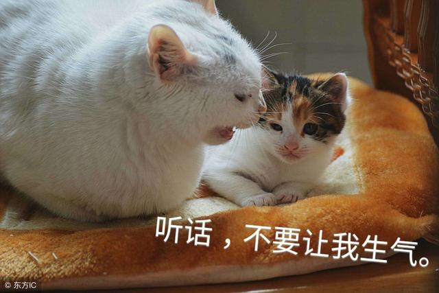 搞笑：一个黑客和一个电脑白痴的对话