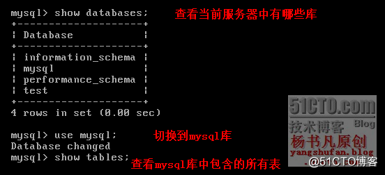 杨书凡36.png