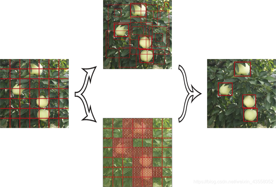 Apple detection during different growth stages in orchards using the ...