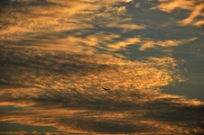 120223a2_DSC_0173_052550