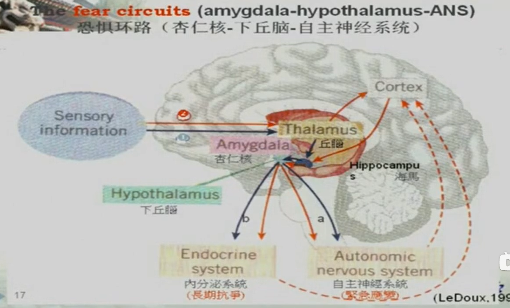 image-20230418102517445