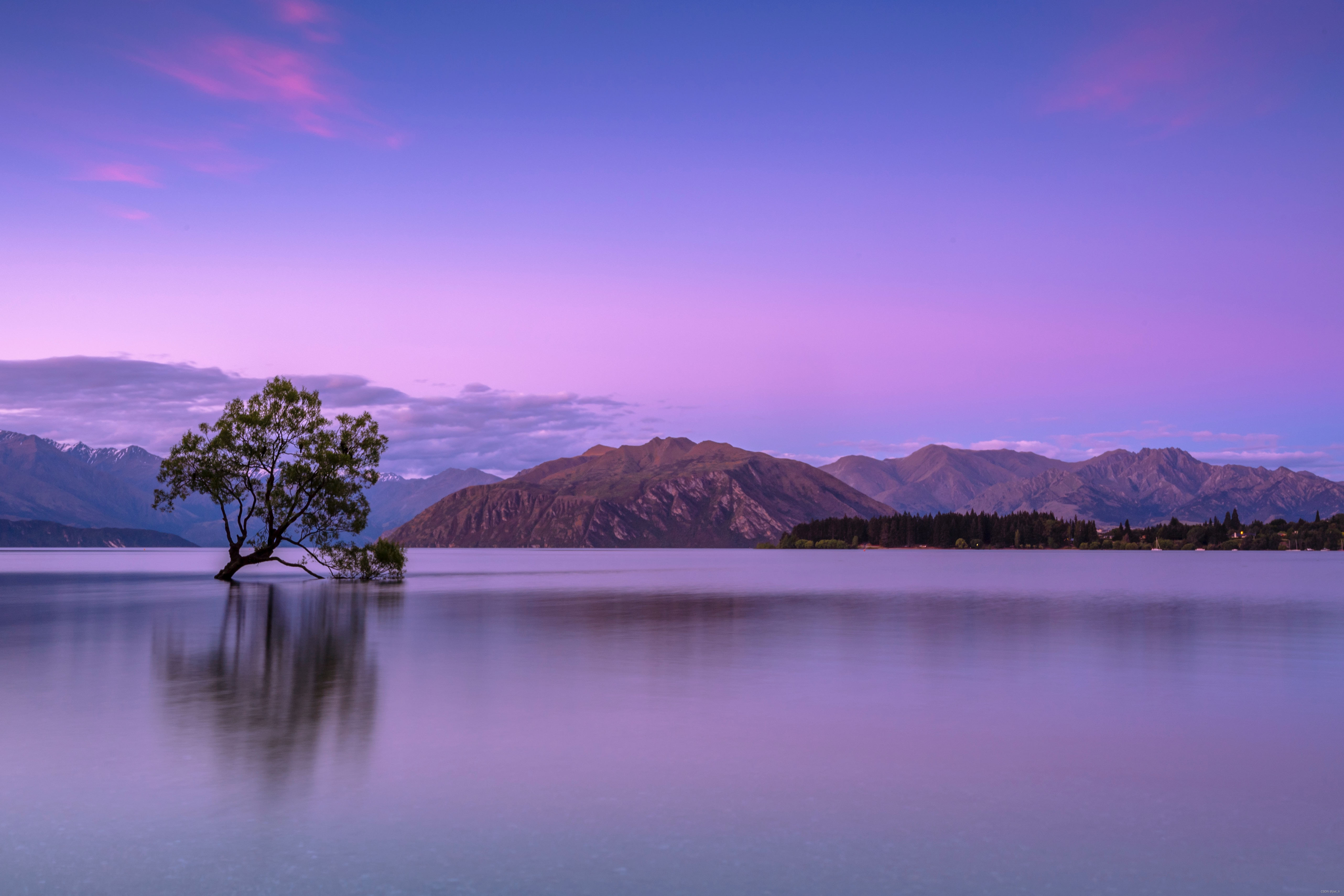 https://unsplash.com/photos/tree-on-body-of-water-near-mountains-KonWFWUaAuk