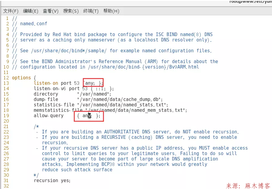 Linux安装BIND服务及配置主/从DNS服务器/缓存服务器第2张-麻木博客