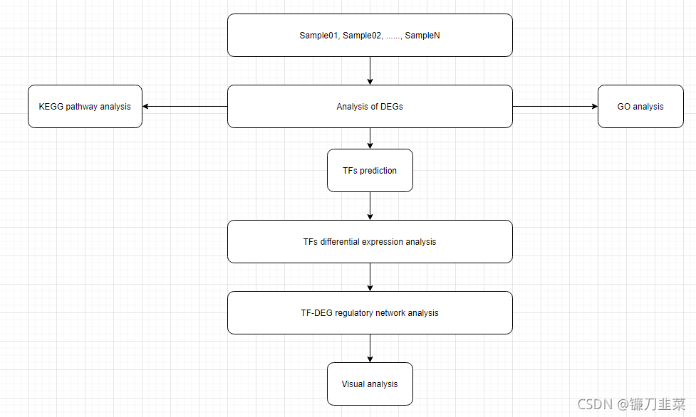 转录调控网络流程简图