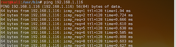 ping  windows 7系统