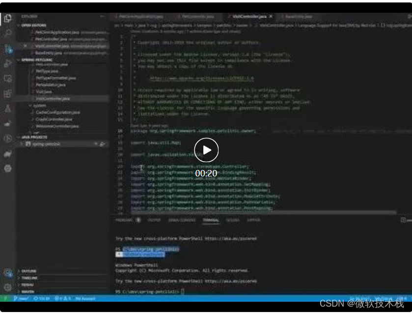 8月更新| Java on Visual Studio Code_vscode spring bean-CSDN博客