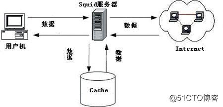 squid传统代理和透明代理