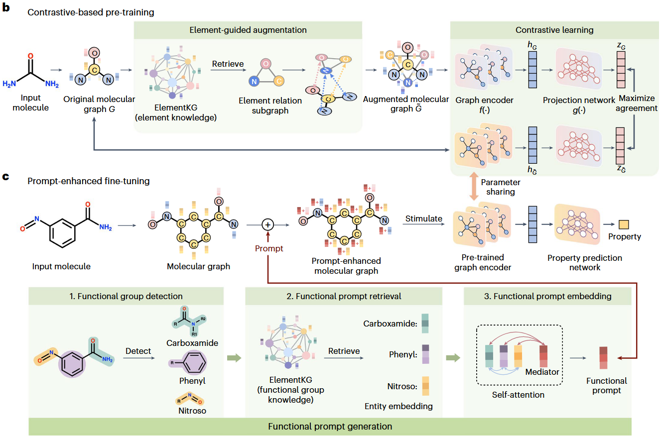 读文献 Knowledge graph-enhanced molecular contrastive learning with ...