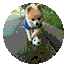 a797f86aae43217a80c6576f6a325314.png