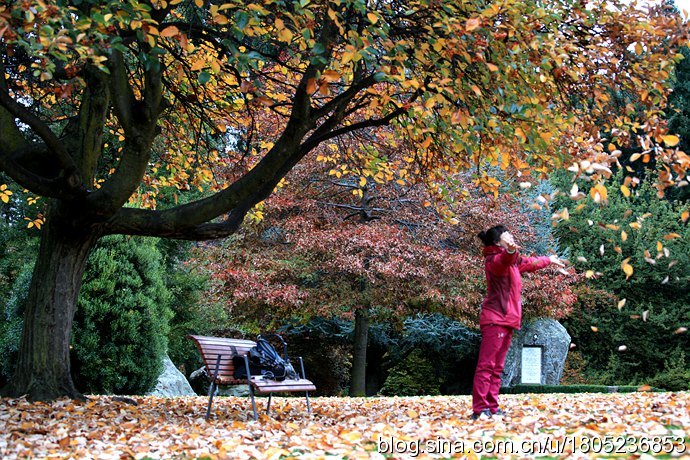 [转载]【纯净新西兰】漫步在童话小镇的秋天