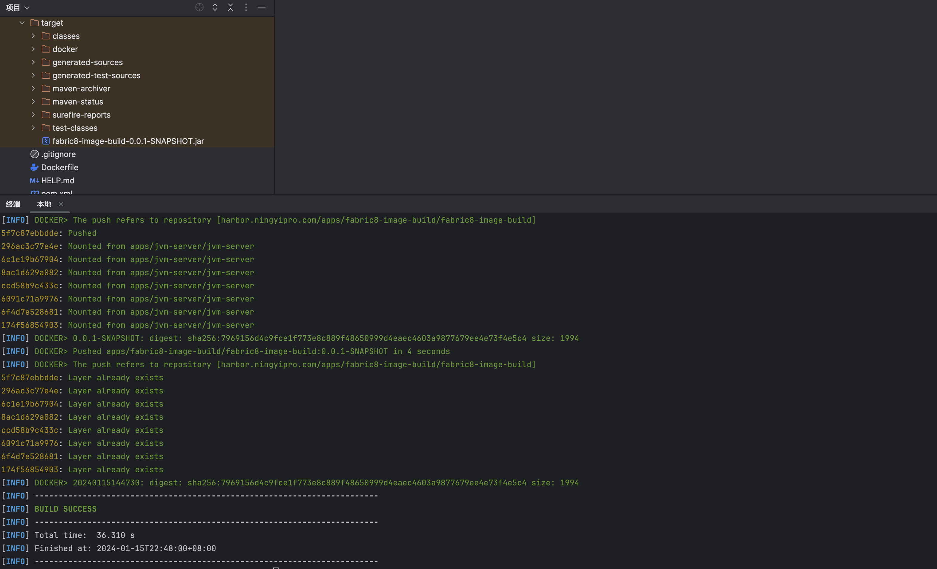 image-20240115224941731