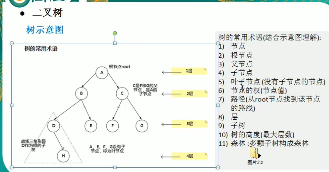 image-20220212202332703