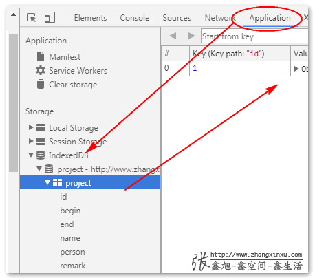 开发者工具中查看存储数据