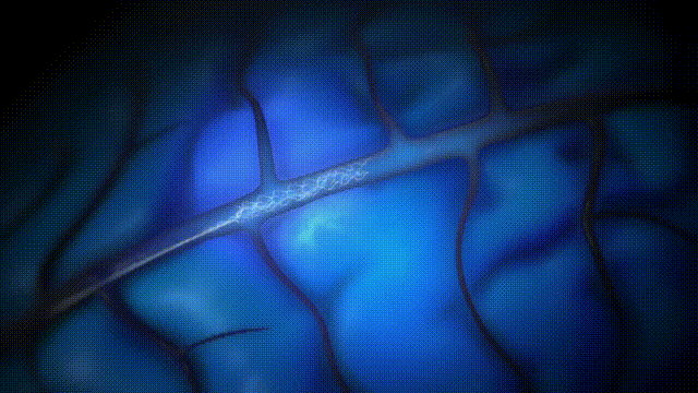 a64d451a7e7db634ed3a440e495be67e.gif
