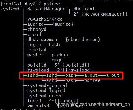 父子进程在进程树里面的展示
