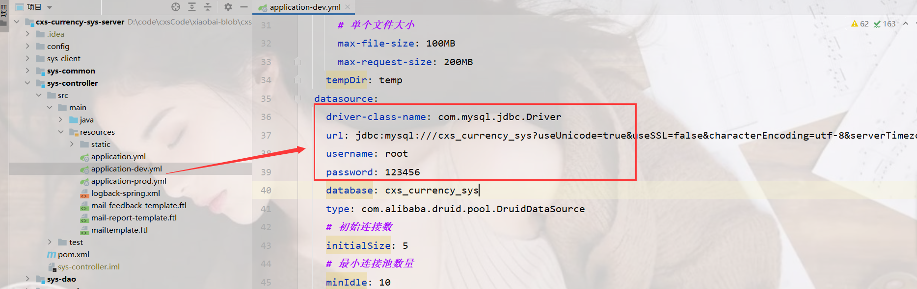 image-20240226155316782