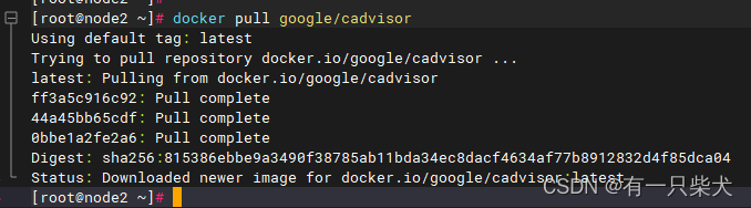 16. Docker容器监控CAdvisor+InfluxDB+Granfana插图7 16. Docker容器监控CAdvisor+InfluxDB+Granfana