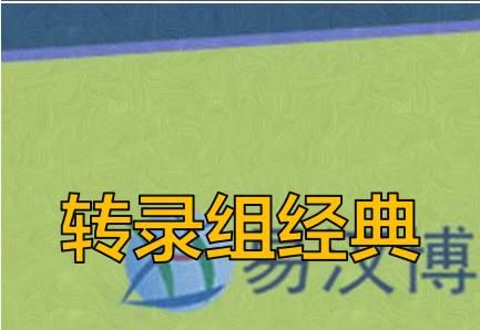 e998476e59a45a33fdd8d9ecc185e968.png