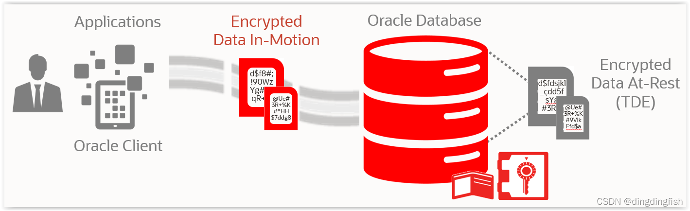 Oracle LiveLabs实验:DB Security - Native Network Encryption (NNE)-CSDN博客