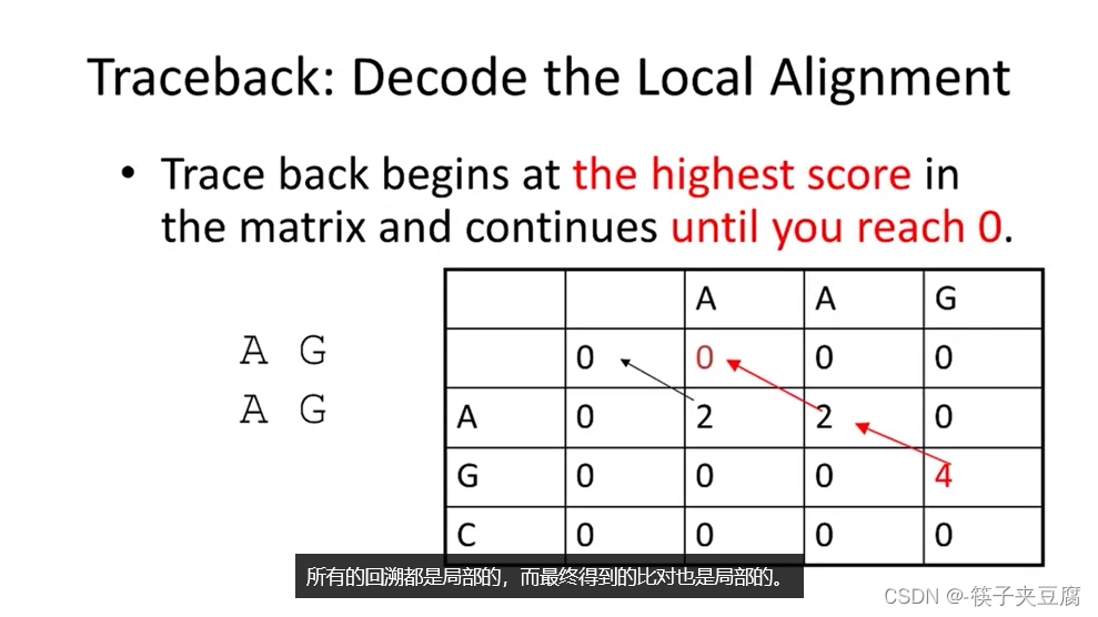 生物信息学导论（第二课）_sequence alignment-CSDN博客
