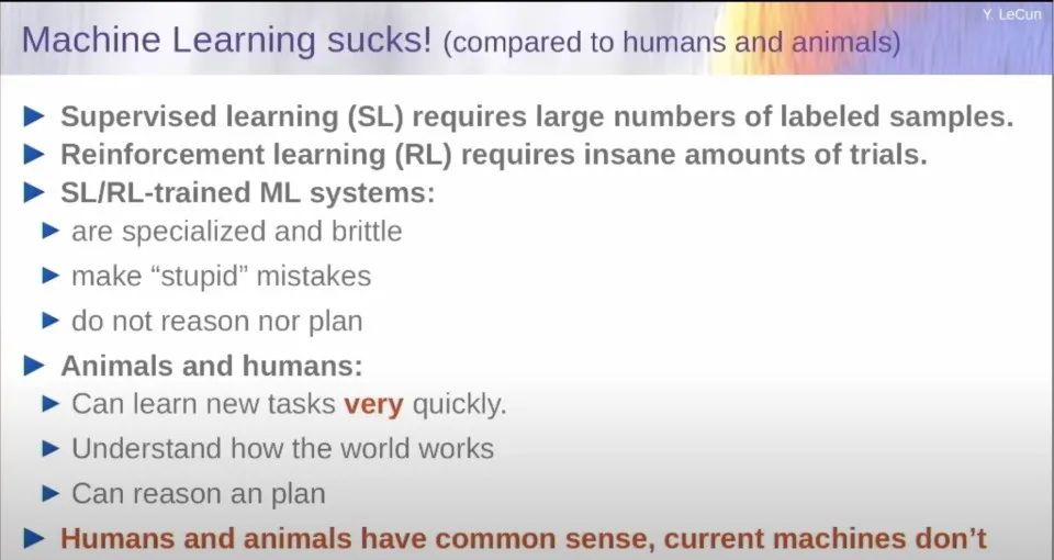 838772232d58d7c3c830136204c80b02.jpeg