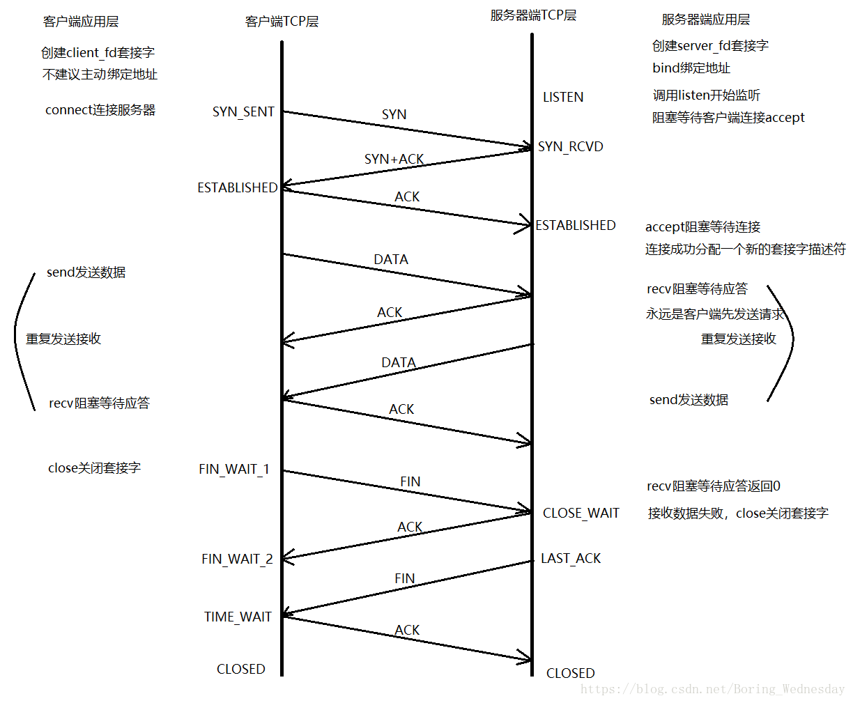 TCP示意图