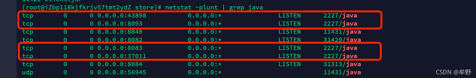 netstat -plunt | grep java命令返回