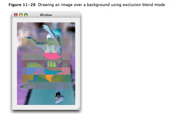 9052647-6bfa9dc0755f2004.png