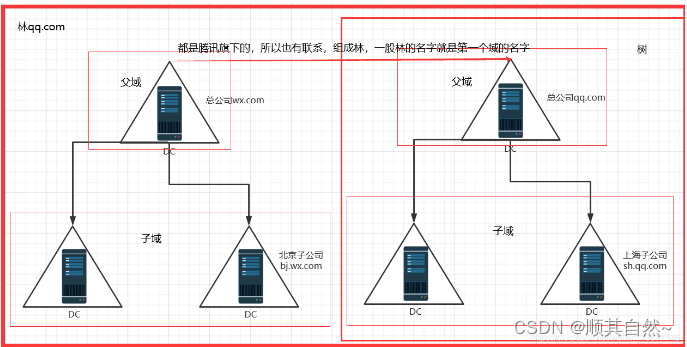 AD域的详细介绍