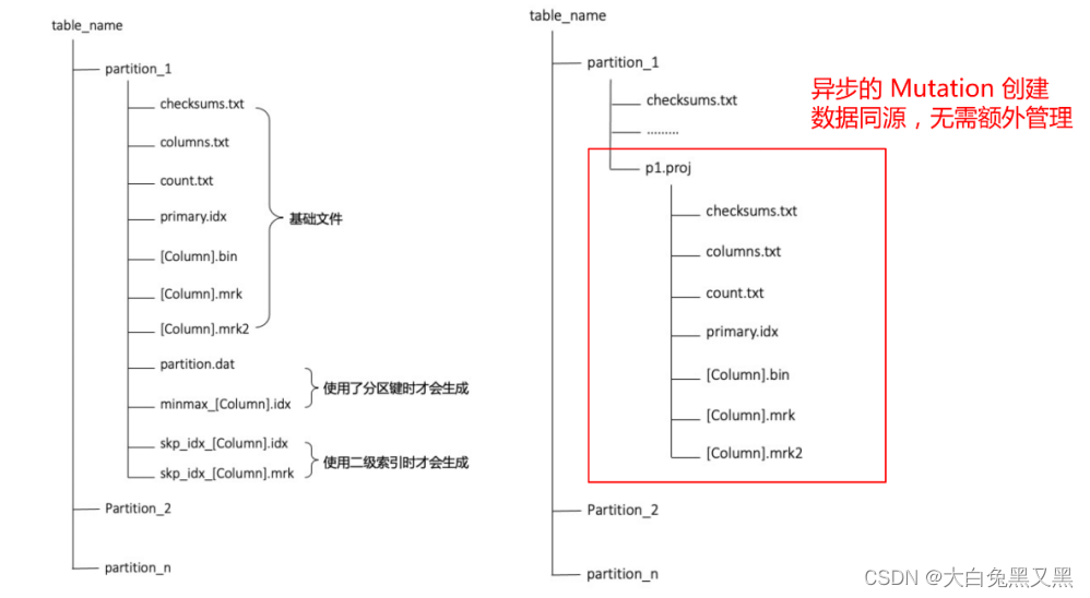 projection目录结构
